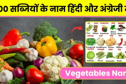 सब्जियों के नाम (Sabjiyon Ke Naam) | 100 Vegetables Name in Hindi and English