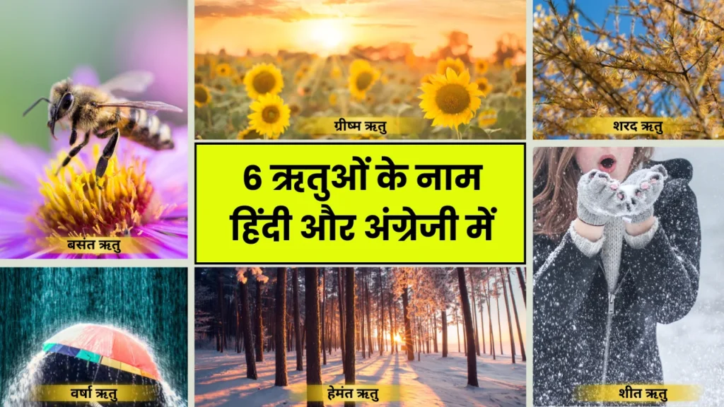 6 ऋतुओं के नाम | All Seasons Name in Hindi and English