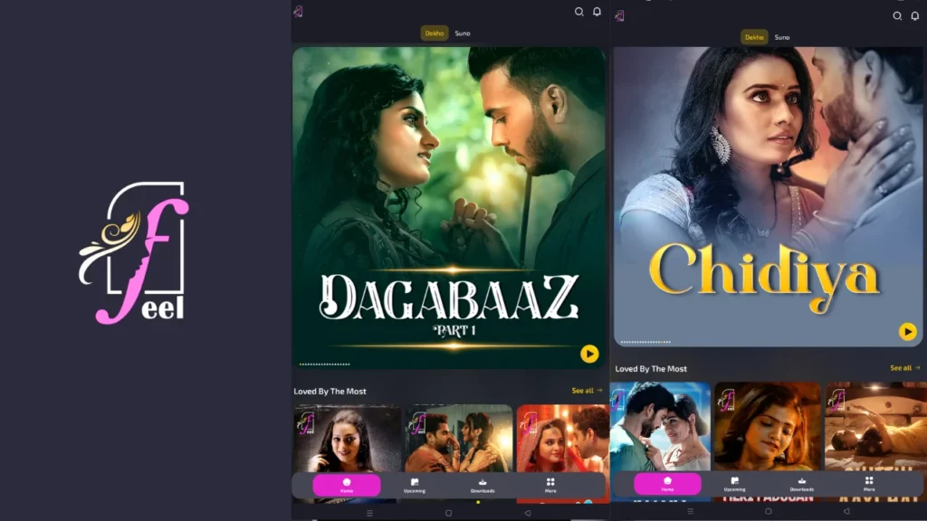 3 New Bold Web Series OTT Platform in 2025